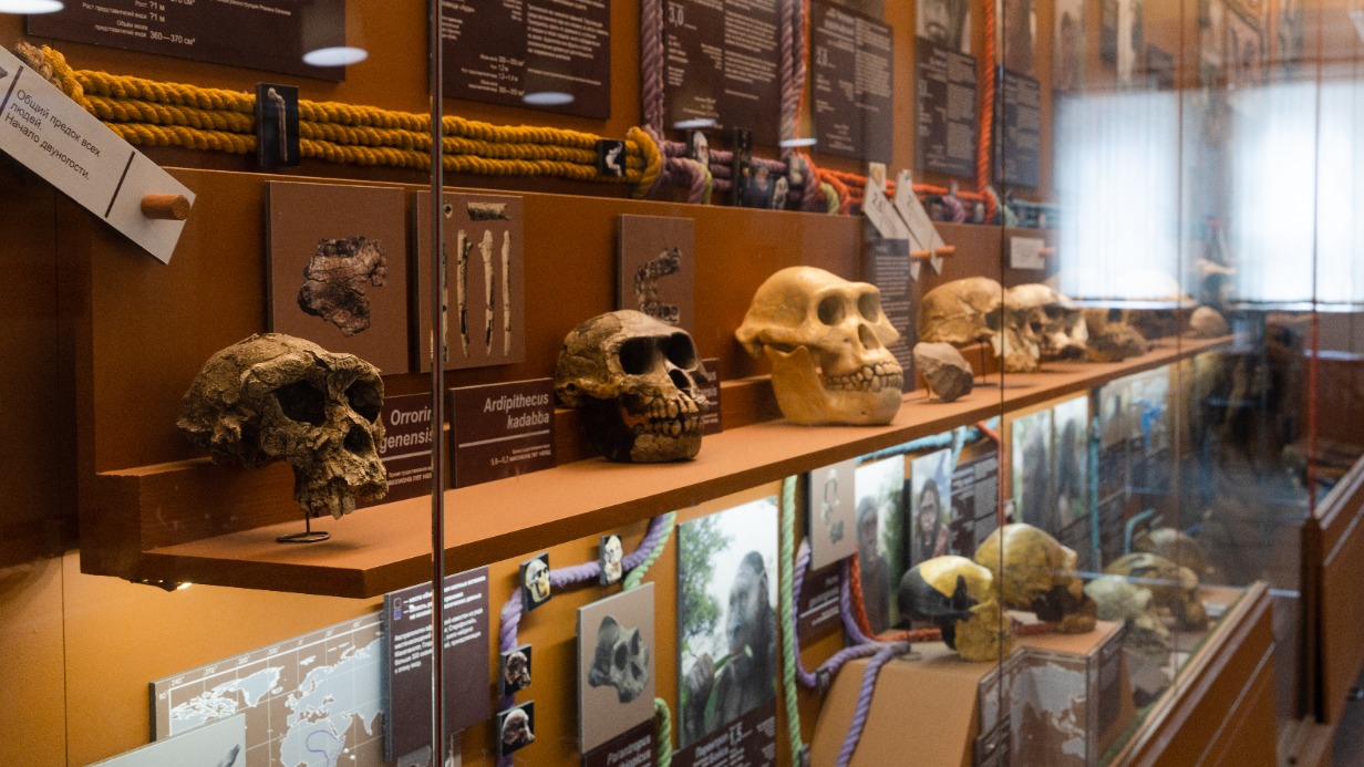  В Биокластере на ВДНХ пройдут обзорные экскурсии и квест с роботом-гидом