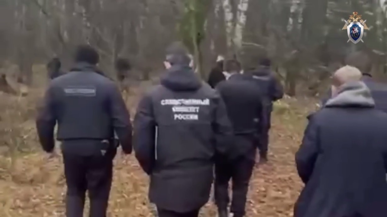 Подмосковный маньяк: что известно