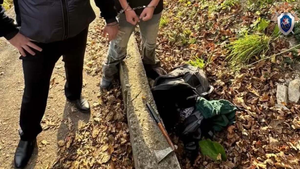 Подросток зарубил топором родную бабушку в Краснодарском крае