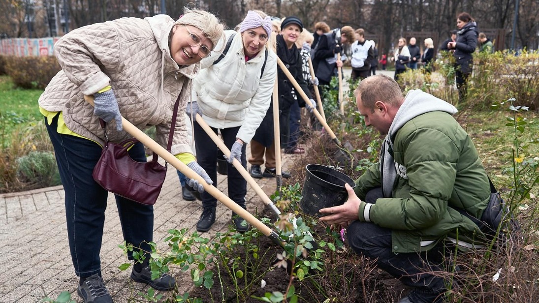 Более 30 тысяч многолетников высадили в разных районах Москвы