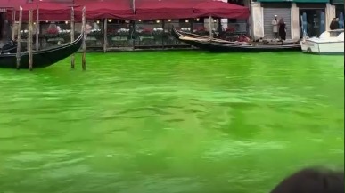 Экоактивисты окрасили воды Гранд-канала в Венеции в кислотно-зеленый цвет