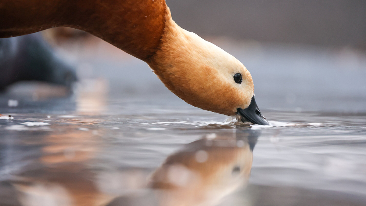 Погода в Москве 29 и 30 ноября 2025 года