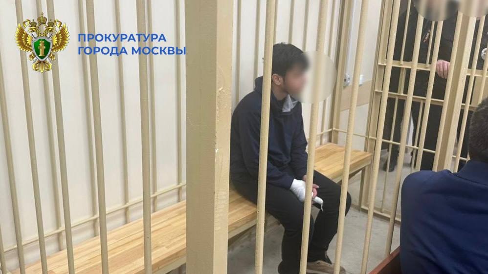 Подростка, напавшего с ножом на охранника в ТЦ в Москве, отправили в СИЗО
