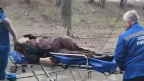 Огромное дерево упало на девушку в Оренбурге, сломав ей позвоночник