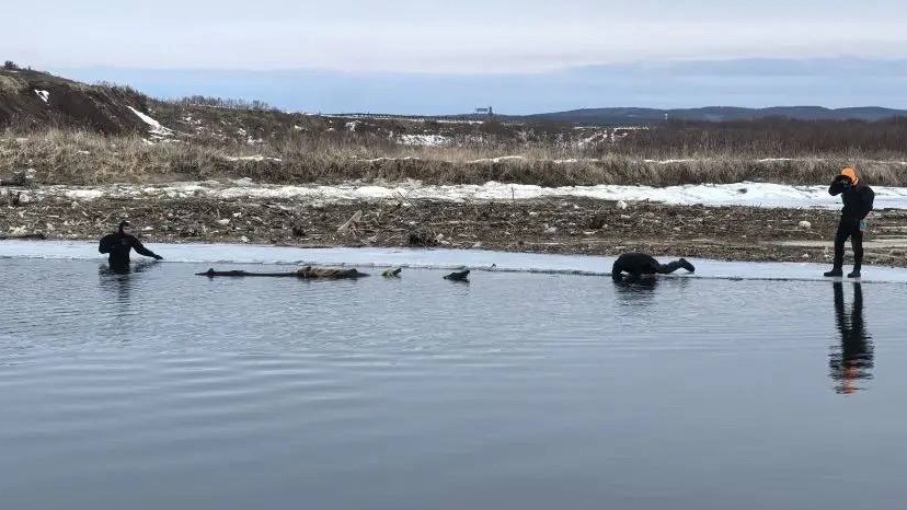 Пропавшего на Сахалине мальчика, которого искали двое суток, нашли под диваном