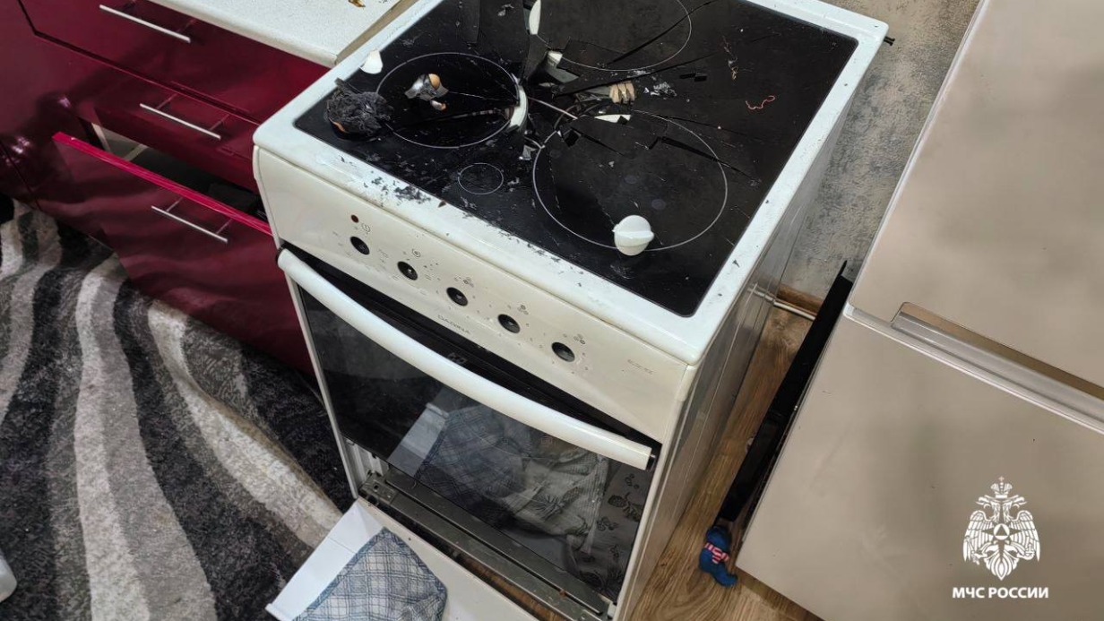 МЧС: Причиной взрыва в доме в Новосибирске стали баллончик дихлофоса и собака