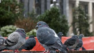 Погода в Москве 16 декабря 2025 года