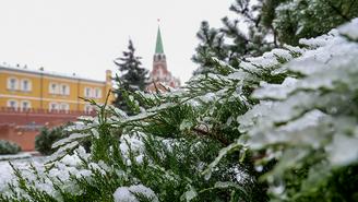 Погода в Москве 15 декабря 2025 года