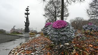 Погода в Москве на следующую неделю, с 24 по 30 ноября