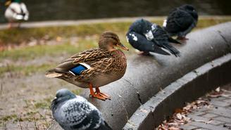 Погода в Москве 6 и 7 декабря