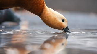 Синоптик Ильин: 21 декабря в Москве может потеплеть до плюс трех