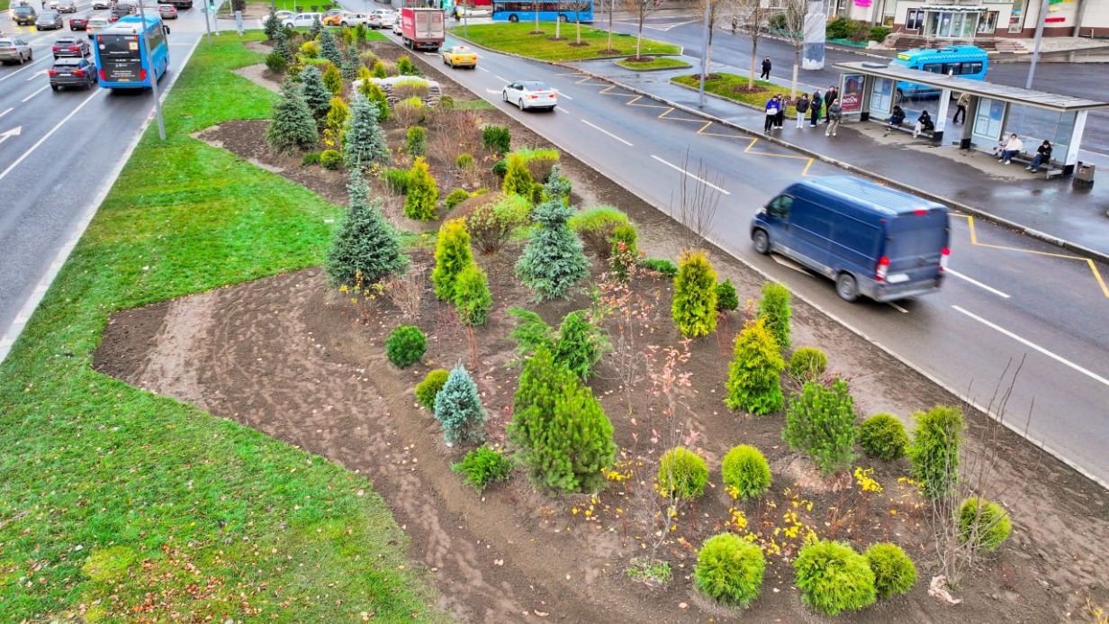 Около 10 тысяч крупномерных деревьев появится на столичных улицах в этом году