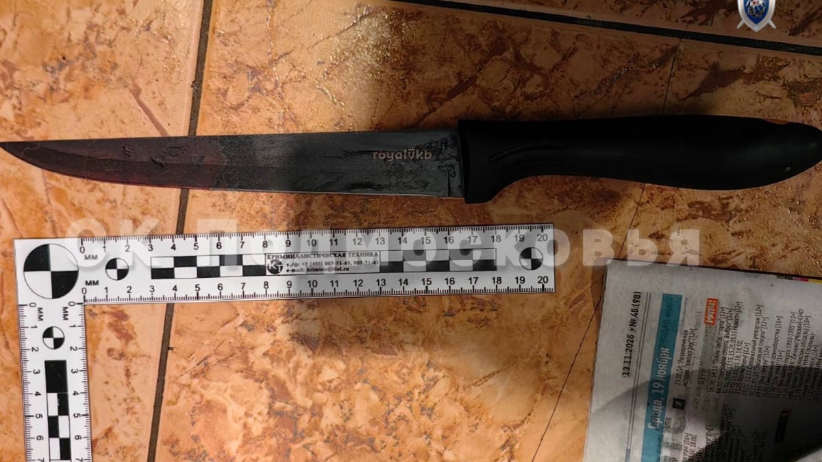 Суд в Подмосковье арестовал женщину, зарезавшую знакомую во время попойки