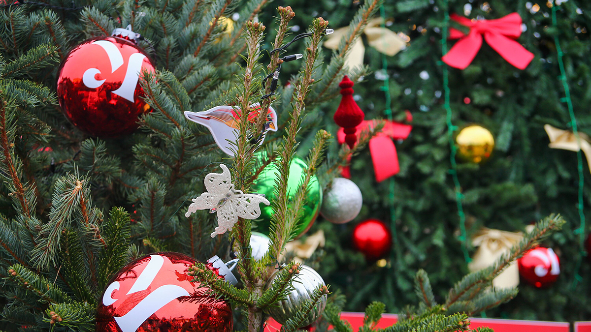 Помощники Деда Мороза исполнят желания детей