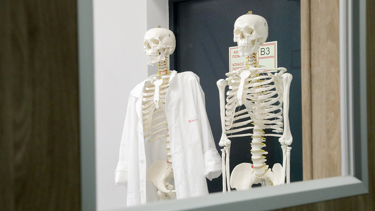 Эксперт Бастрыкина оценила возможность создания клонов в будущем