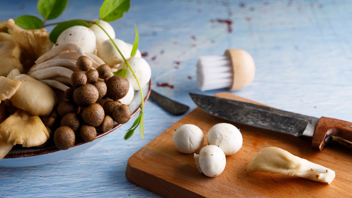 Польза и вред грибов: мнение врача