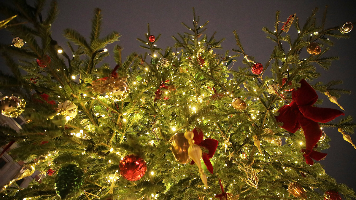 В чем встречать Новый год 2026