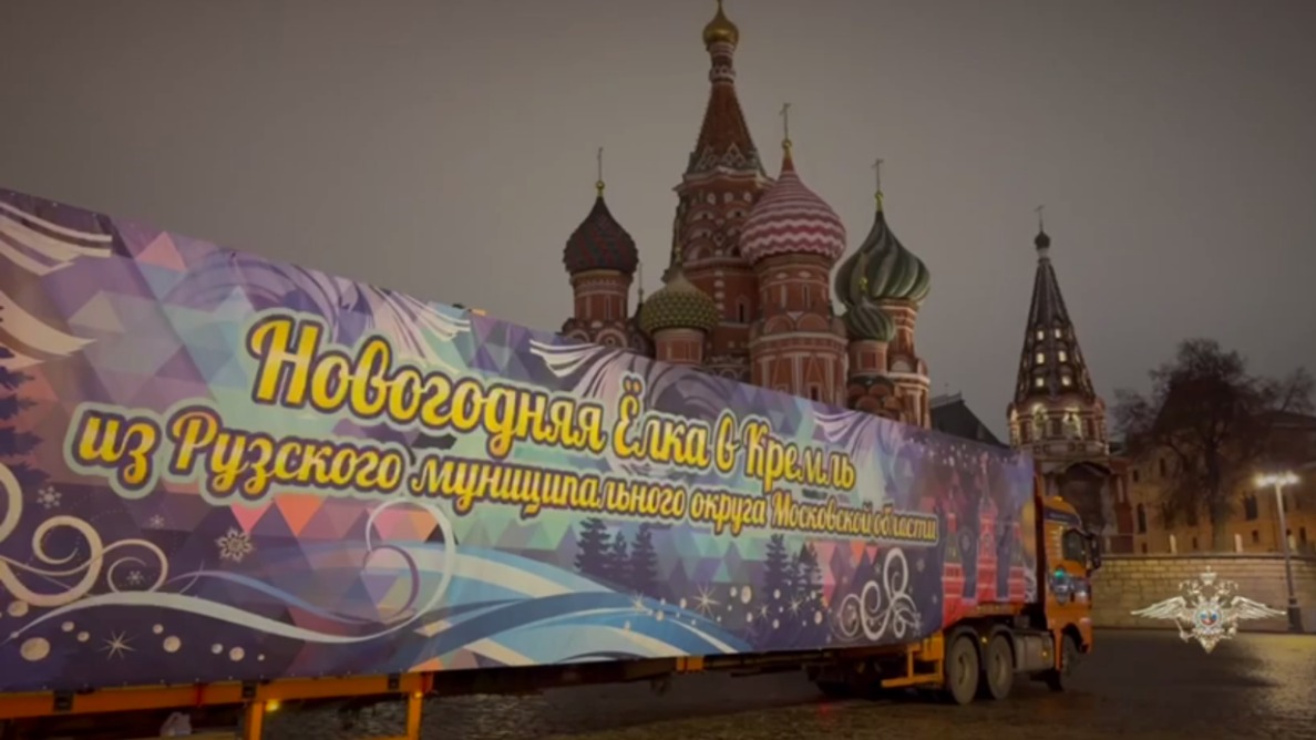 Главную новогоднюю елку страны привезли в Кремль
