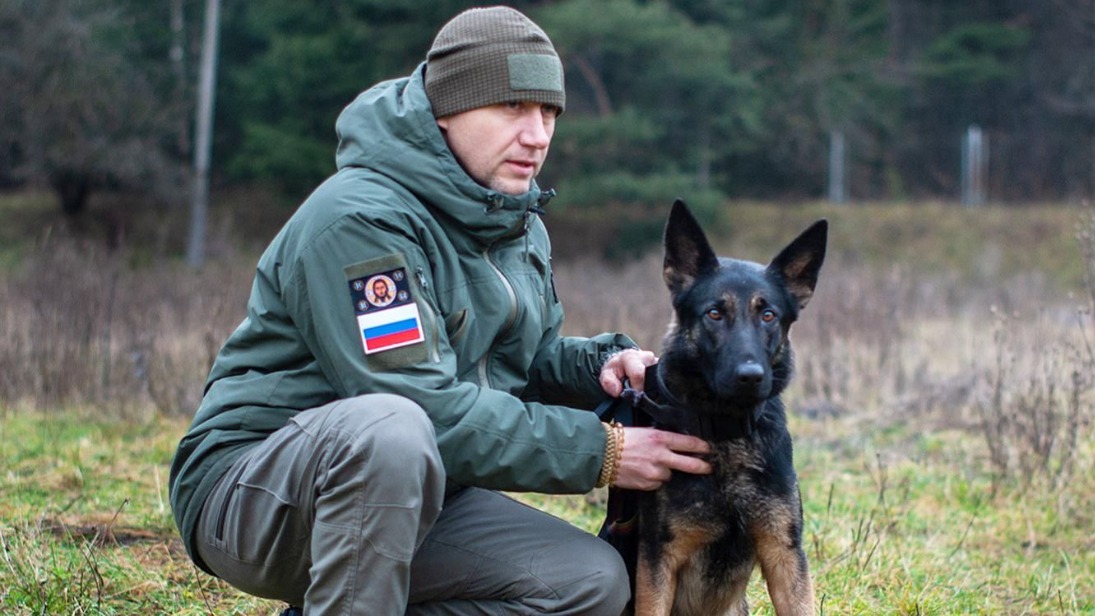 Более 500 кинологов прошли обучение для работы в зоне СВО