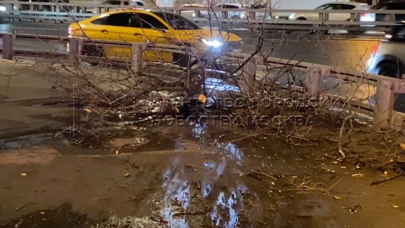 Ветер повалил новогоднюю елку на Тверском бульваре и дерево на юге Москвы