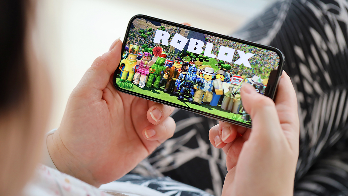 Минцифры получило от Roblox гарантии соблюдения российского законодательства