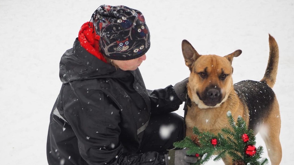 Приют для животных на западе столицы приглашает на день открытых дверей