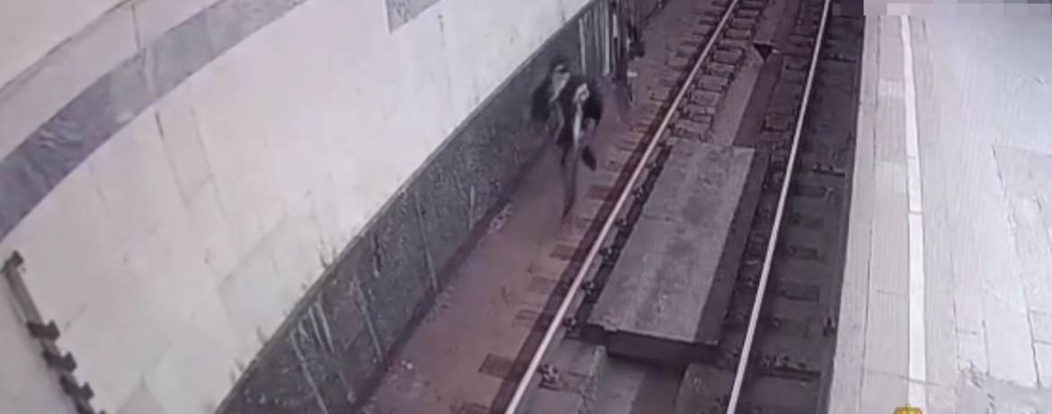 Мужчина устроил забег по путям в московском метро
