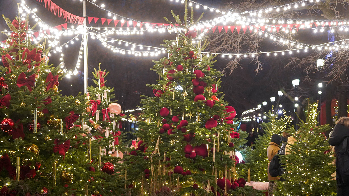 ВЦИОМ: Россияне планируют потратить на Новый год около 60 тысяч рублей