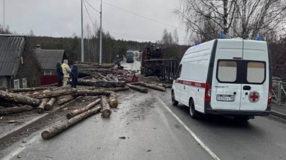 В Карелии вылетевшие с лесовоза бревна раздавили машину вместе с водителем