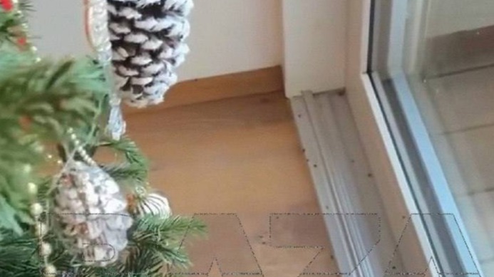 Baza: Хвойные клещи атаковали квартиры россиян