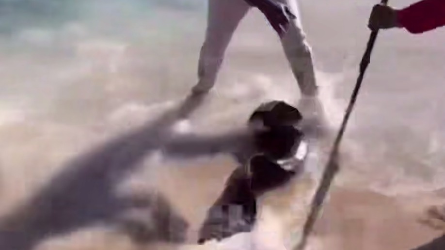 Мурена напала на россиянина в Египте, его госпитализировали