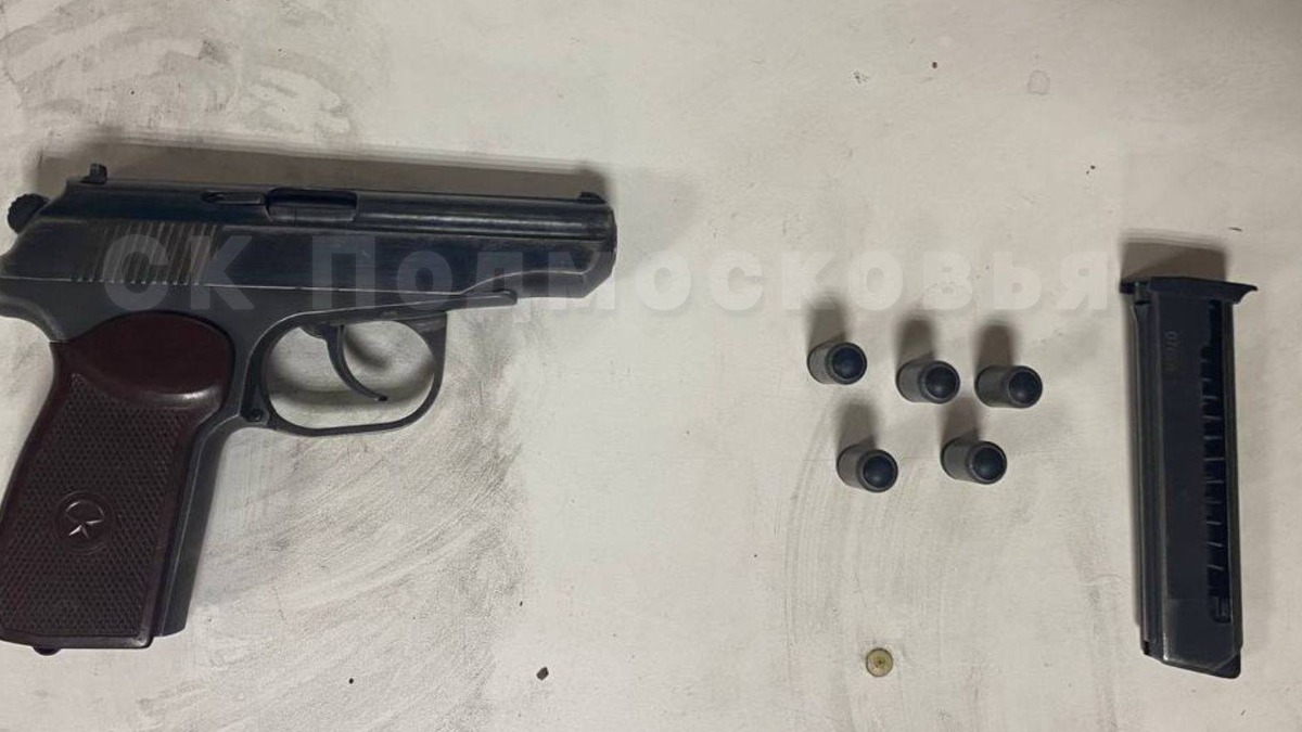 Суд арестовал жителя Подмосковья, застрелившего своего знакомого