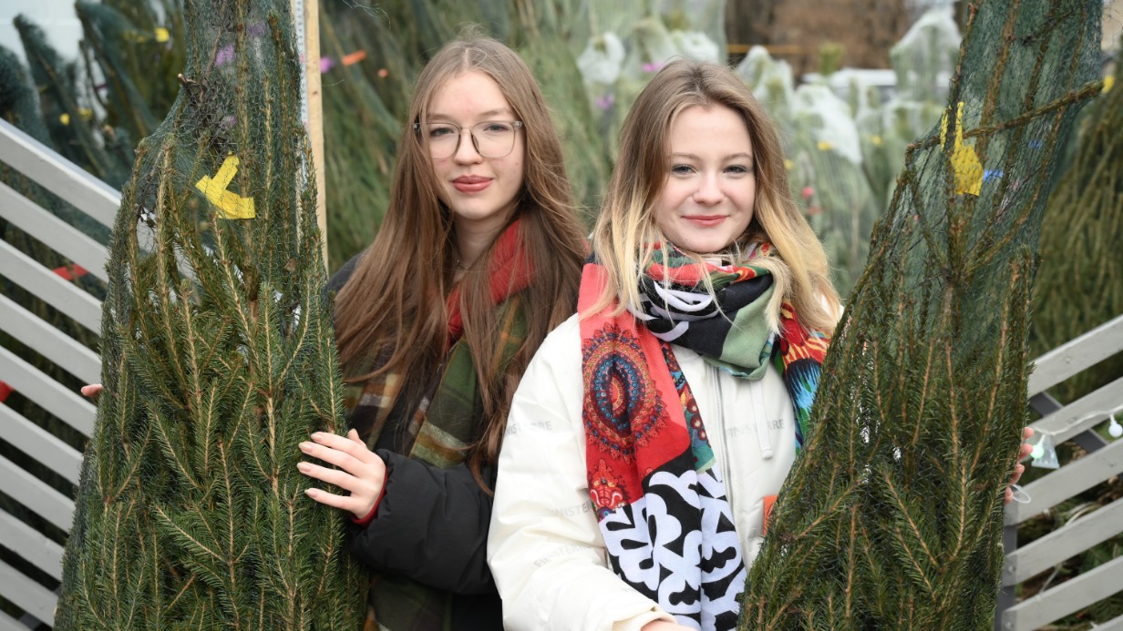 Елочные базары в Москве: ассортимент, цены