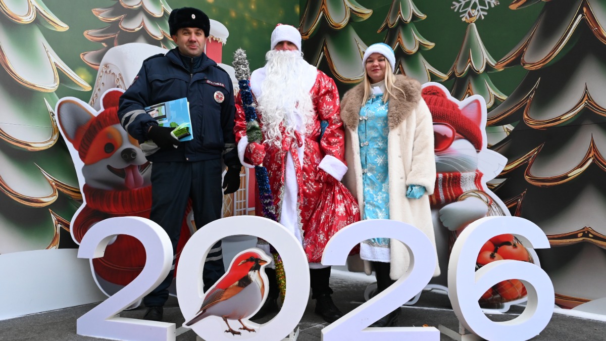 Старший инспектор Госавтоинспекции Андрей Мезенцев, инспекторы по делам несовершеннолетних Ахин Агаев в образе Деда Мороза и Марина Завьялова в образе Снегурочки вышли на Павелецкую площадь поздравить детей и подростков с наступающим Новым годом