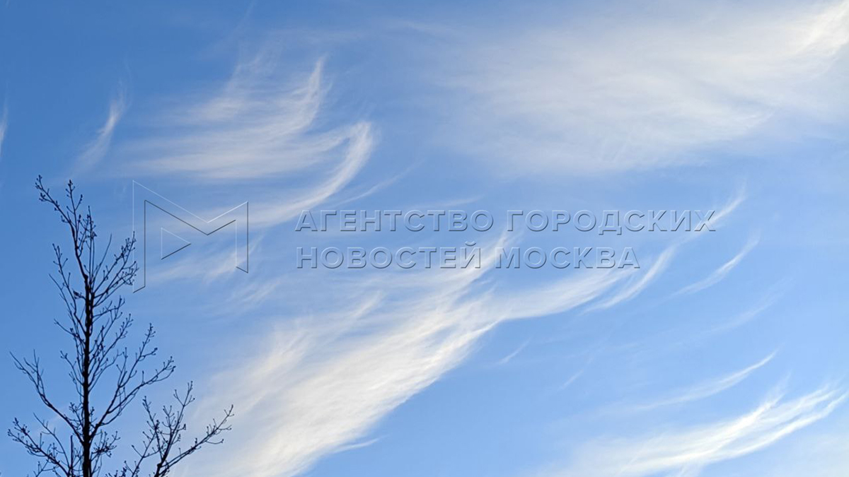 Редкие облака «конские хвосты» появились над Москвой