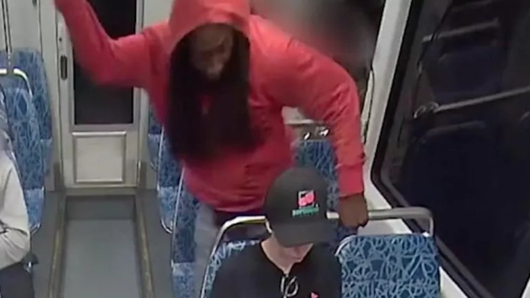 Муралы в память об убитой украинской беженке Заруцкой появились в США