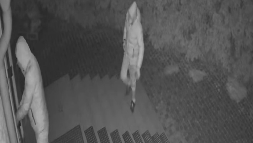 Бывшие зэки пробрались в дом к жительнице Подмосковья и ранили ее ножом