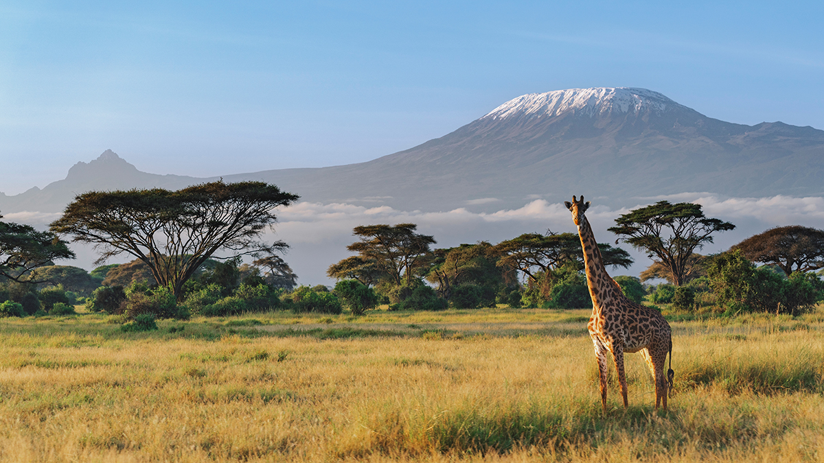 Пять человек погибли при крушении вертолета на горе Килиманджаро