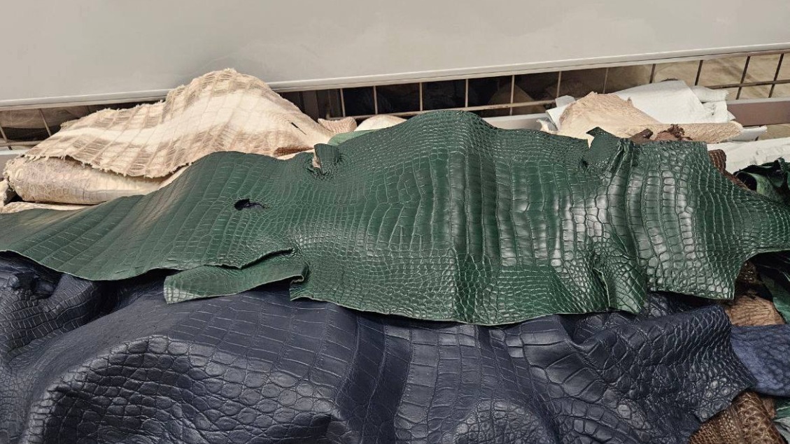 Московские таможенники обнаружили в чемодане иностранца 55 шкур крокодилов