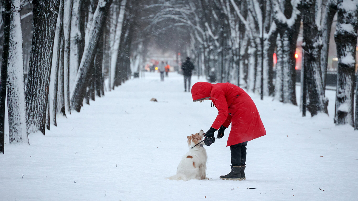 Погода в Москве на Рождество