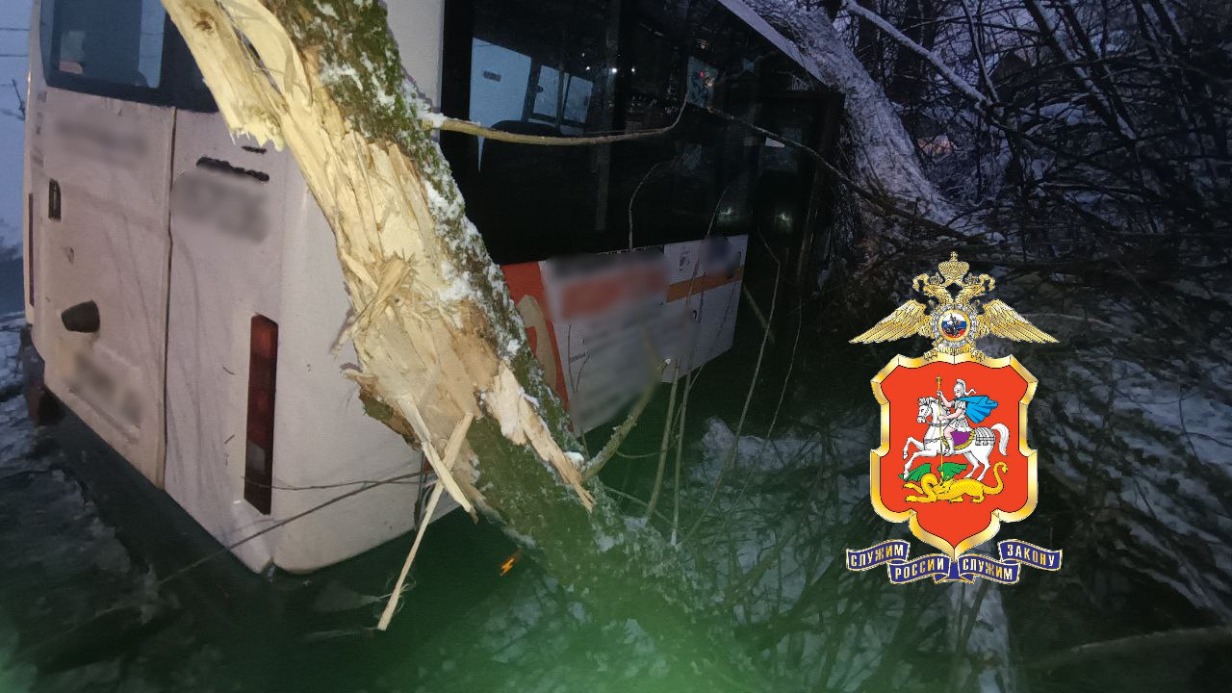 Трех пострадавших госпитализировали после ДТП с участием микроавтобуса в Ступине