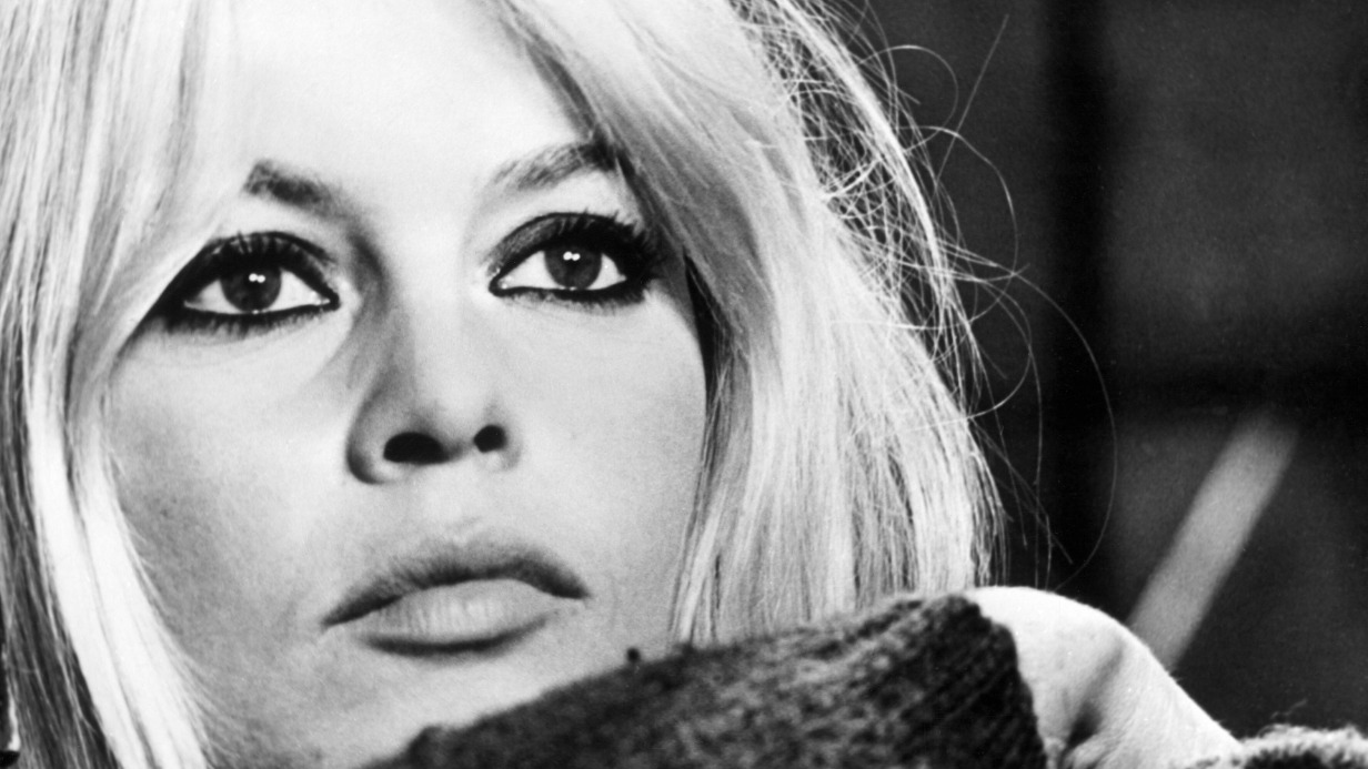 Брижит Бардо: биография, смерть, карьера, фильмы, личная жизнь