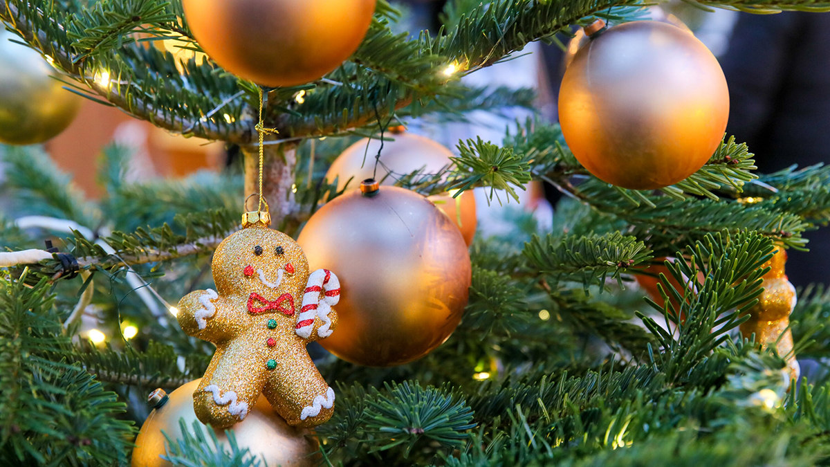 Штрафы за шум в новогоднюю ночь