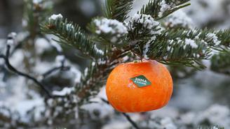 Метеоролог Позднякова предупредила о потеплении в Москве в ближайшее время