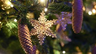 Синоптик Тишковец: Москвичи встретят Новый год с морозом и со снегом