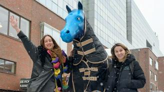 Не только конь в пальто: где в столице можно встретить символ наступающего 2026 года