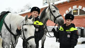 В патруль с новогодним настроением: полиция подготовила лошадей к зимней службе
