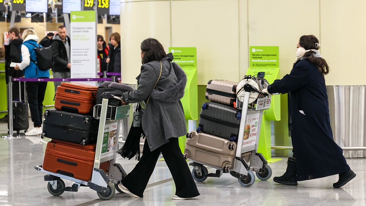 Внуково и Шереметьево приняли меры, предотвращающие побеги питомцев из переносок