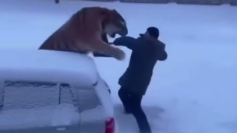 Россиянину грозит 100-тысячный штраф за шуточный ИИ-ролик 