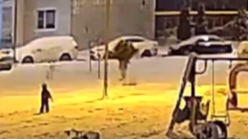 Семья в подмосковном Голубом спилила елку, которую семь лет выращивали соседи